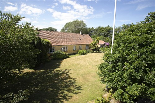 estate