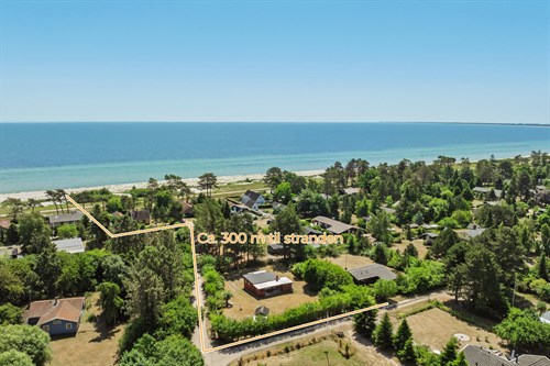estate