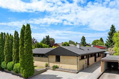 estate