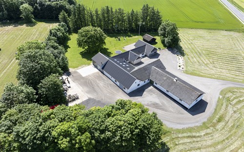 estate