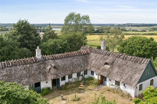 estate