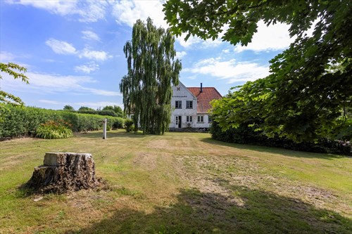 estate