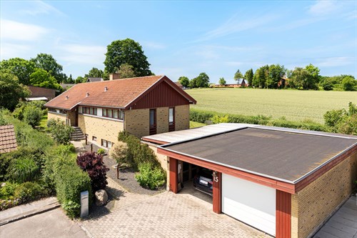 estate