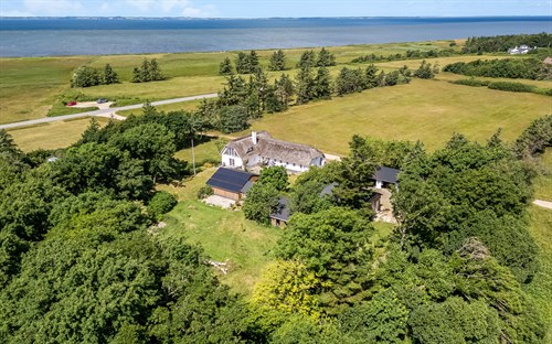 estate