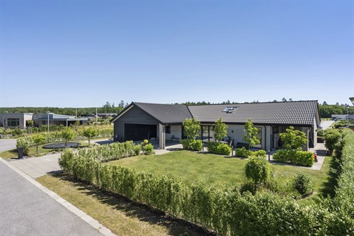 estate