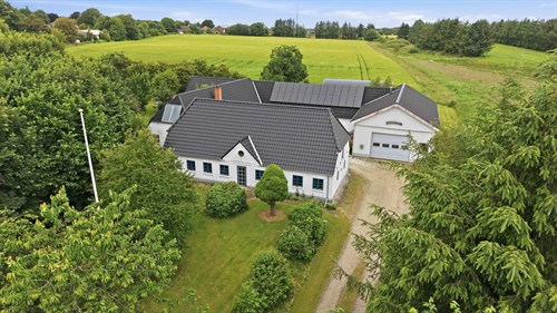 estate