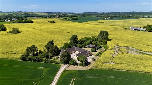 estate