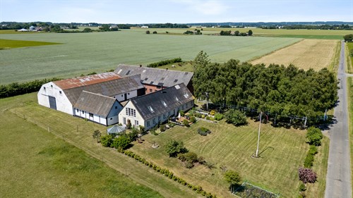 estate