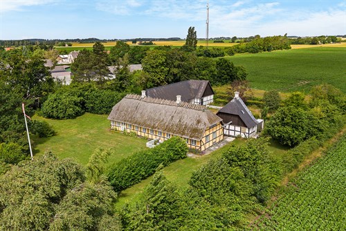 estate