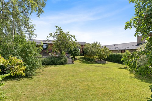 estate