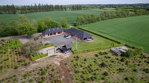 estate