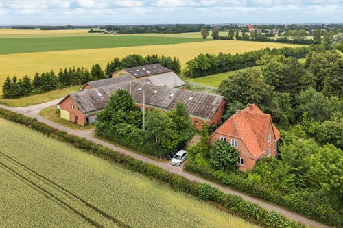 estate