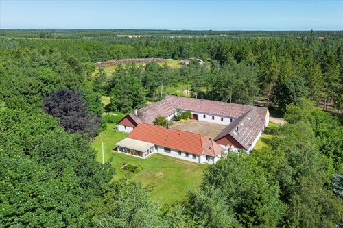 estate
