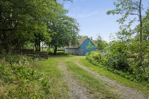 estate