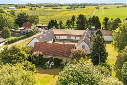estate