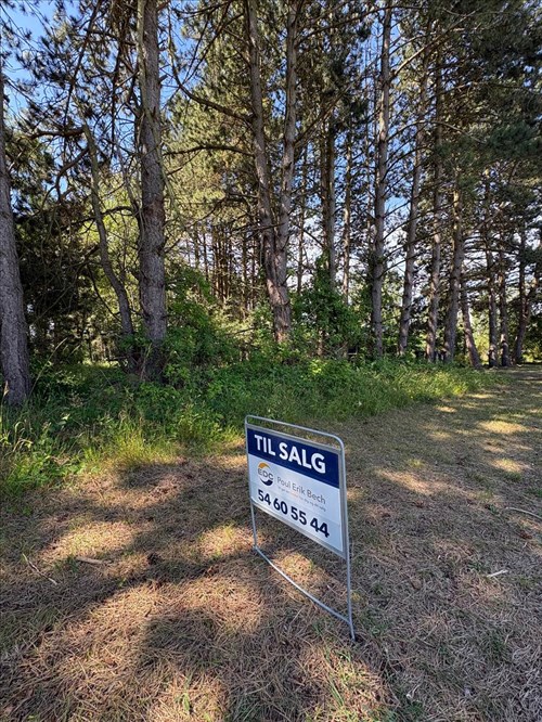 estate