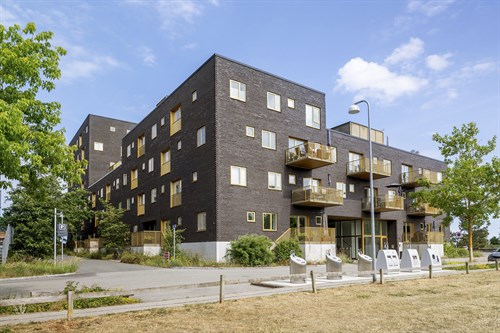 estate