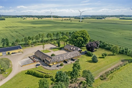 estate