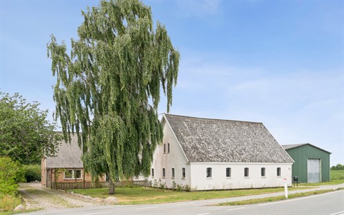 estate