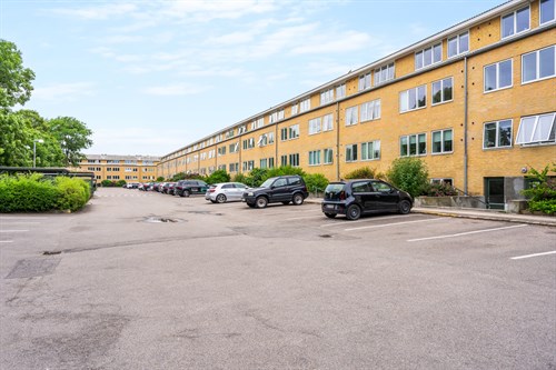 estate