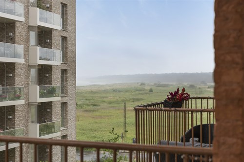 estate