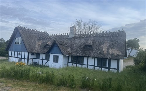 estate