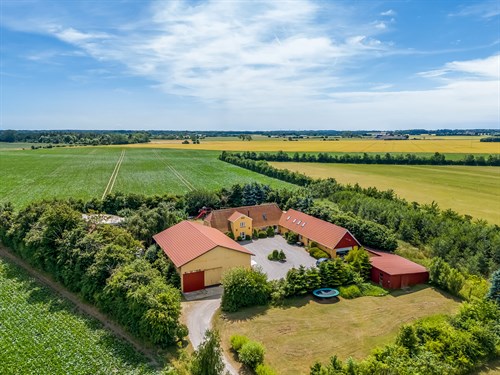 estate