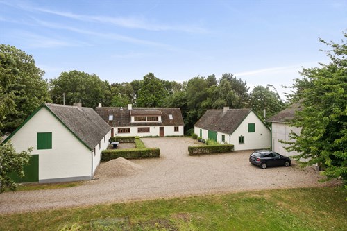 estate