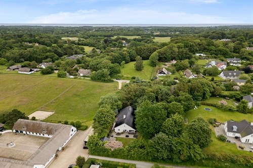 estate
