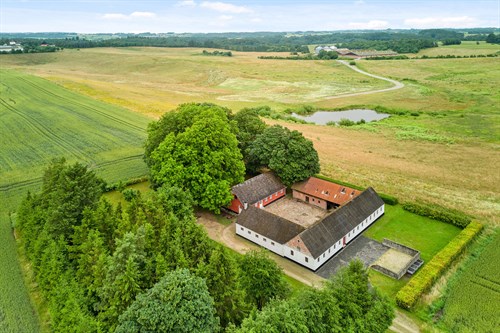 estate