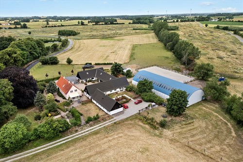 estate