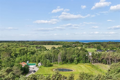 estate