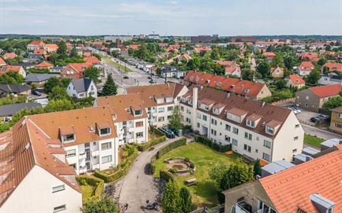 estate