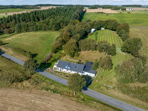 estate