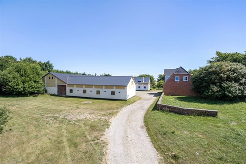 estate