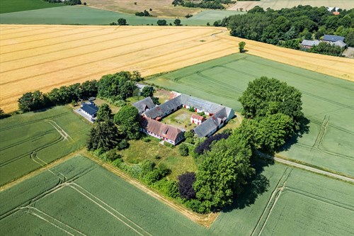 estate
