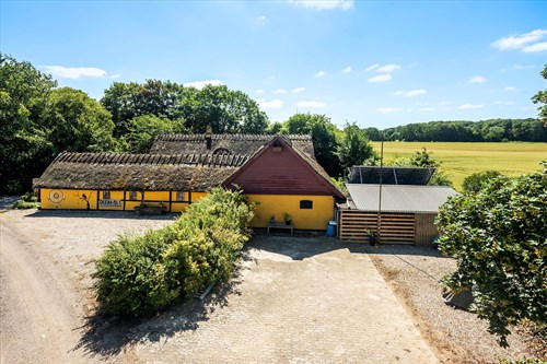 estate