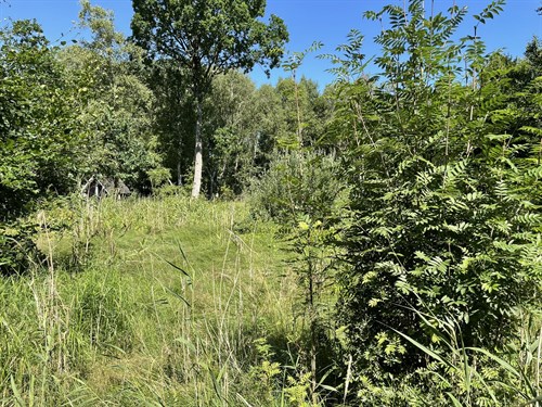 estate
