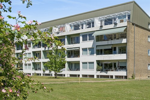estate