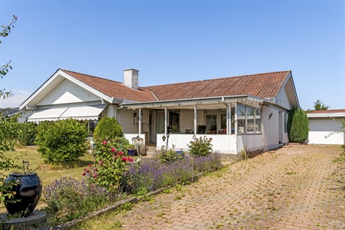 estate