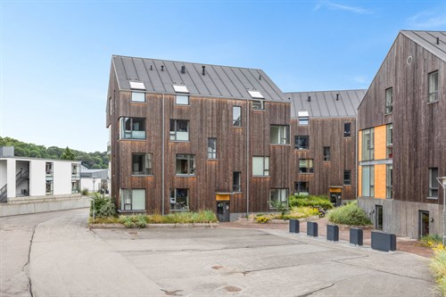 estate