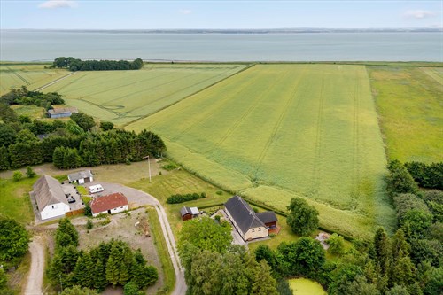 estate