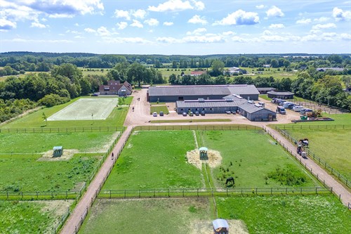 estate