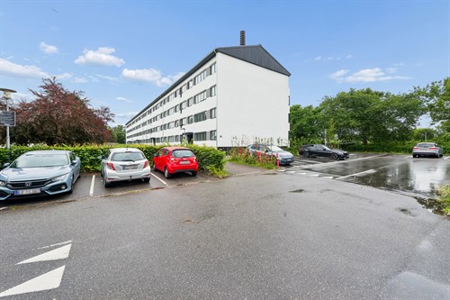 estate