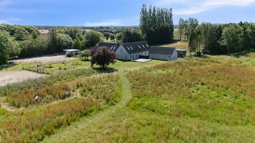 estate