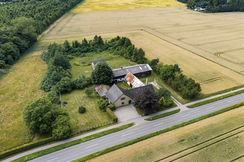 estate