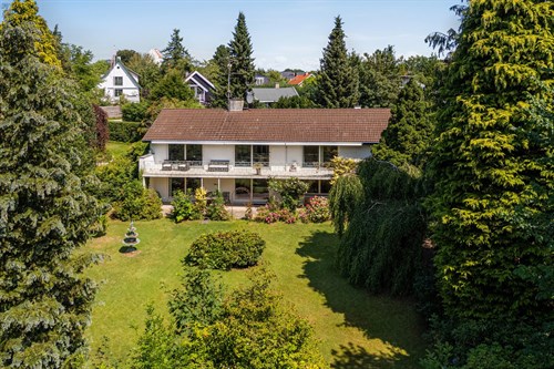 estate