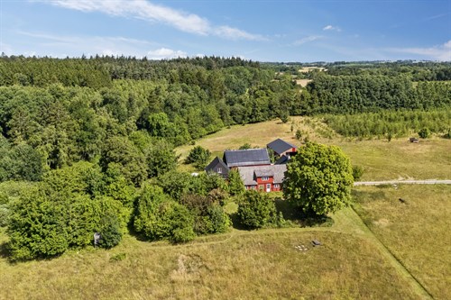 estate