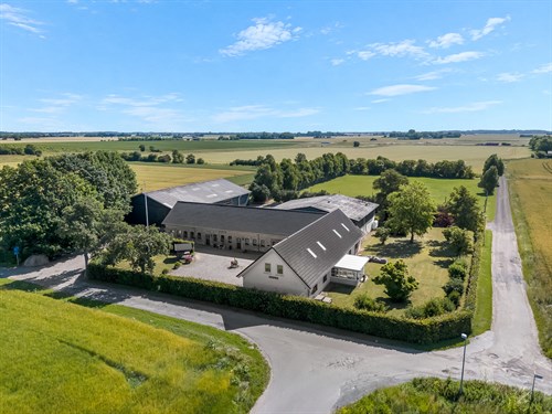 estate