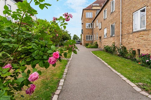 estate